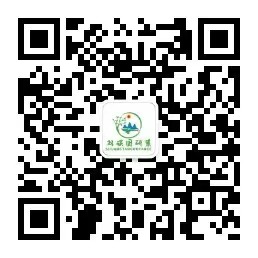 武汉国研策低碳科技研究院